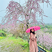 石田陽美の写真